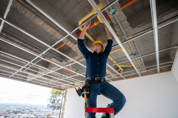Best Sewer Line Repair  in Eulyptus Hills, CA