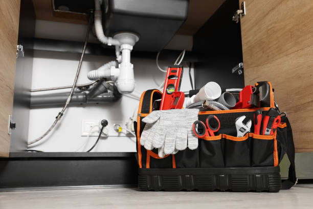 Professional Plumbing in Eucalyptus Hills, CA