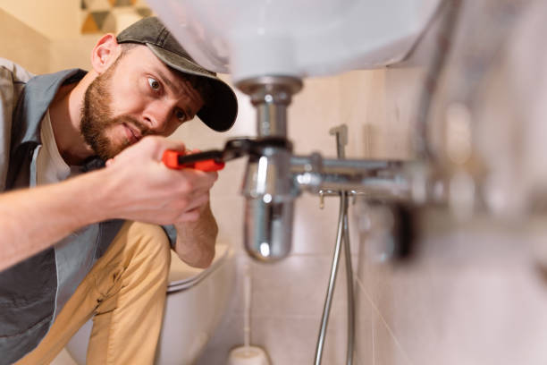 Best Clogged Drain Plumber  in Eulyptus Hills, CA